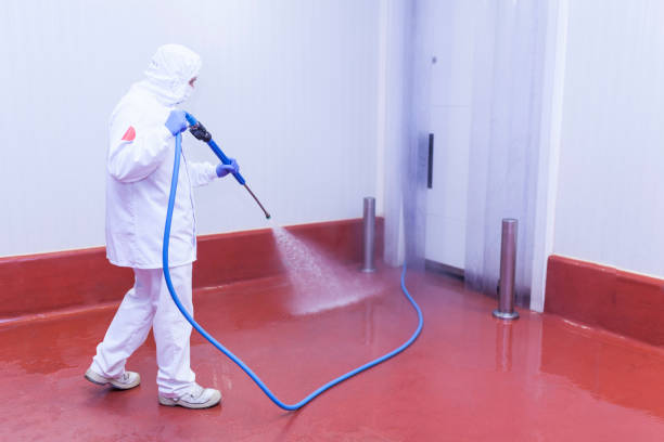 Trusted Seneca, MO Pressure Washing Services Experts